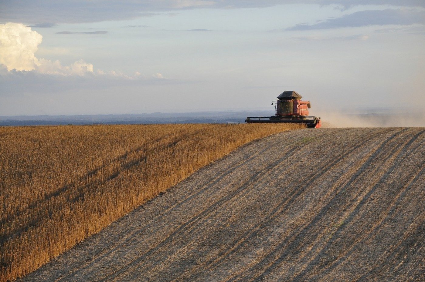 In Landwirtschafts-Kreisen befürchtet man Ertragseinbussen und fordert, die Auswirkungen der geplanten Massnahmen müssten vor der Zielfestlegung weiter bewertet werden. (Symbolbild Pixabay)