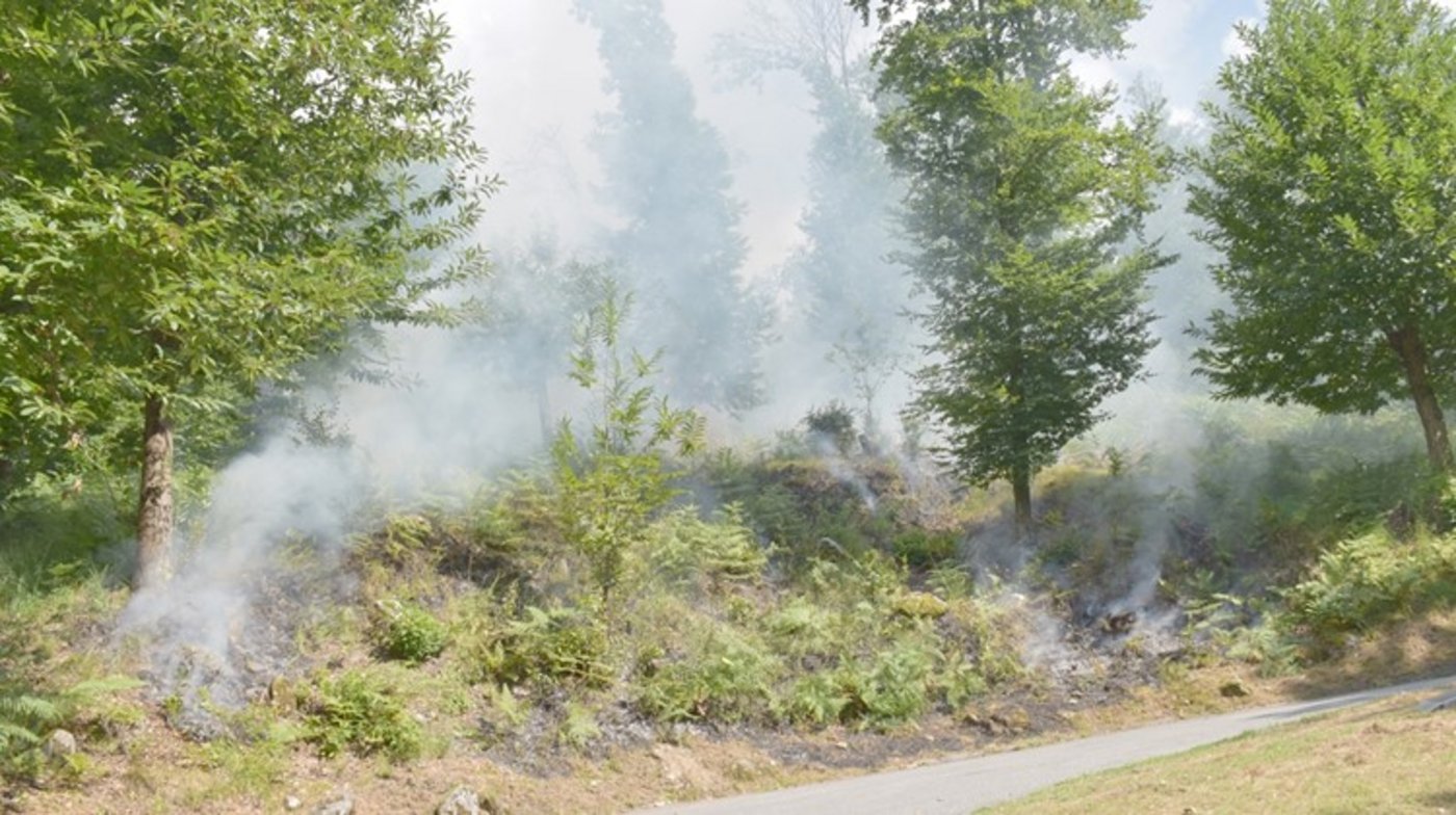 Das Feuer breitete sich schnell auf einen Grossteil des Feldes aus. (Symbolbild Kantonspolizei Graubünden)