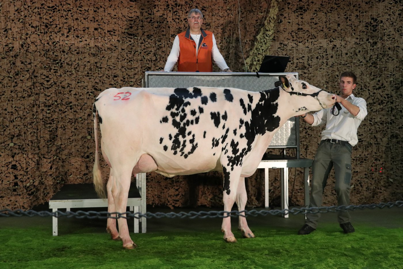 Dempsey Galexis von Andreas und Thomas Ender aus Kallern schaffte an der Auktion den Höchstpreis mit 5200 Franken.